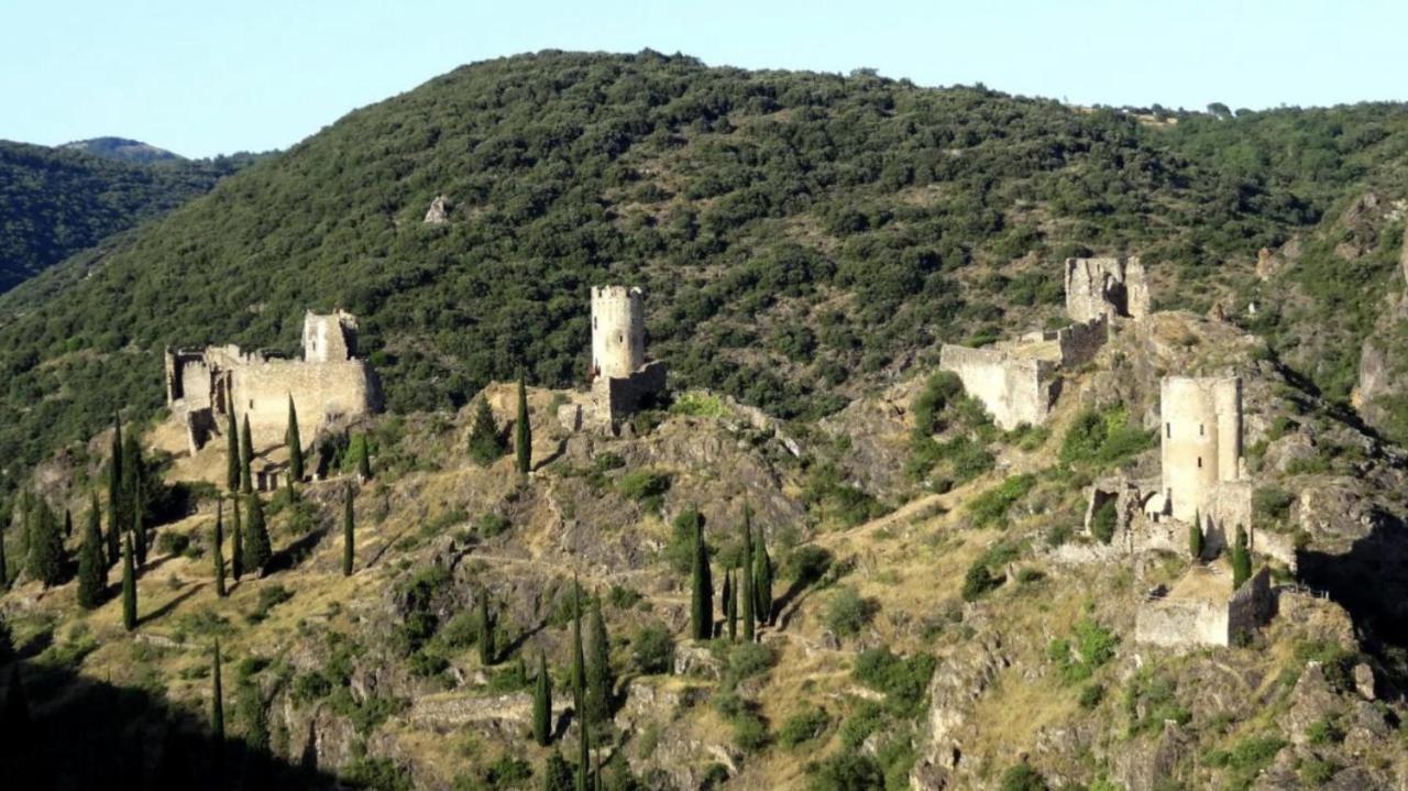 La Maison De Leontine La Liviniere Buitenkant foto
